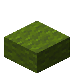 Green Wool Slab