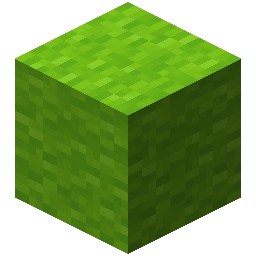Lime Wool