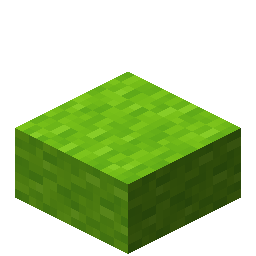 Lime Wool Slab